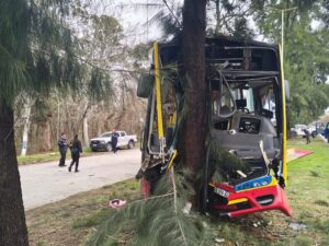 un colectivo impactó a un auto que frenó de golpe y se incrustó contra un árbol