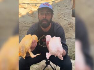 Que no te engañen, el color no tiene nada que ver con la calidad del pollo