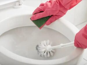 Tirar vinagre en el inodoro una vez por semana: por qué lo recomiendan y cuáles son sus beneficios